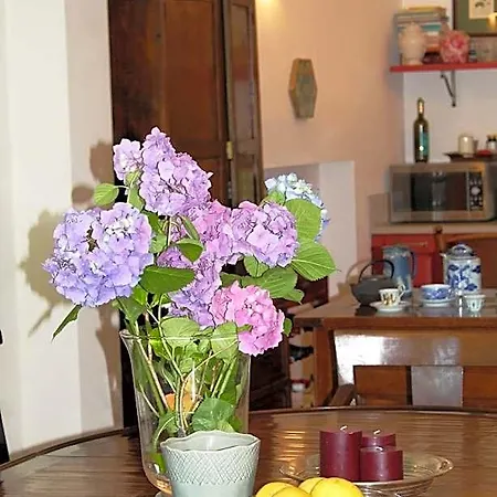 Donna Etrusca Sutri