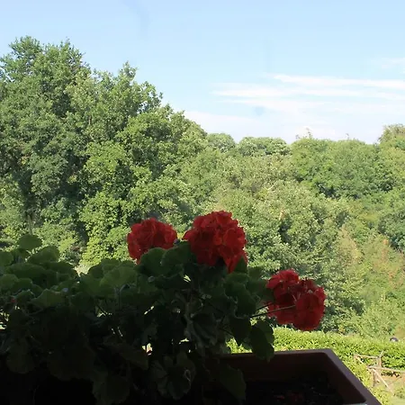 Donna Etrusca ストリ