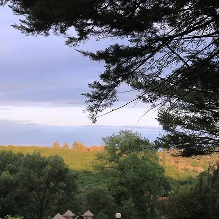 Donna Etrusca ベッド・アンド・ブレックファスト 3*