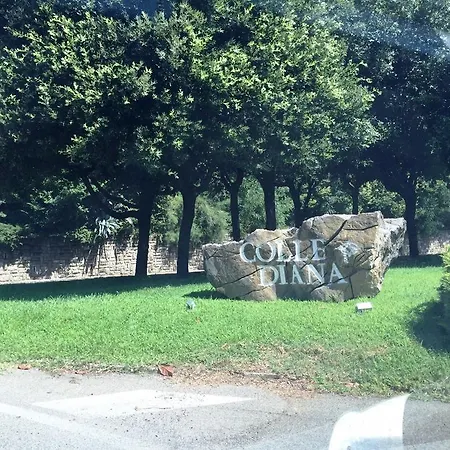 Donna Etrusca ストリ