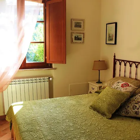 Donna Etrusca ストリ